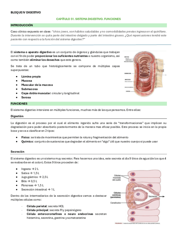 Miniatura del documento Introduccion-y-funciones-SD.pdf