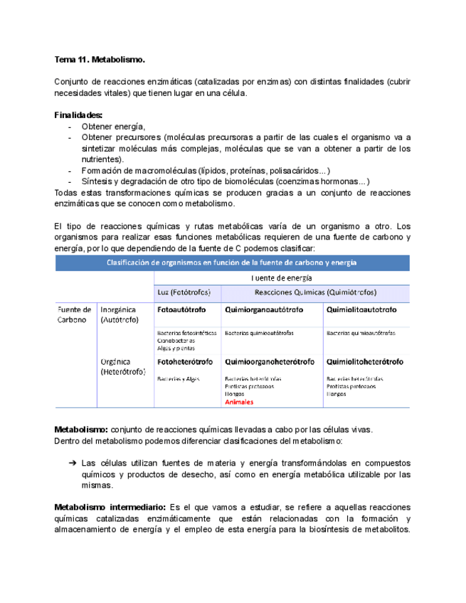 Miniatura del documento T11-Metabolismo.pdf