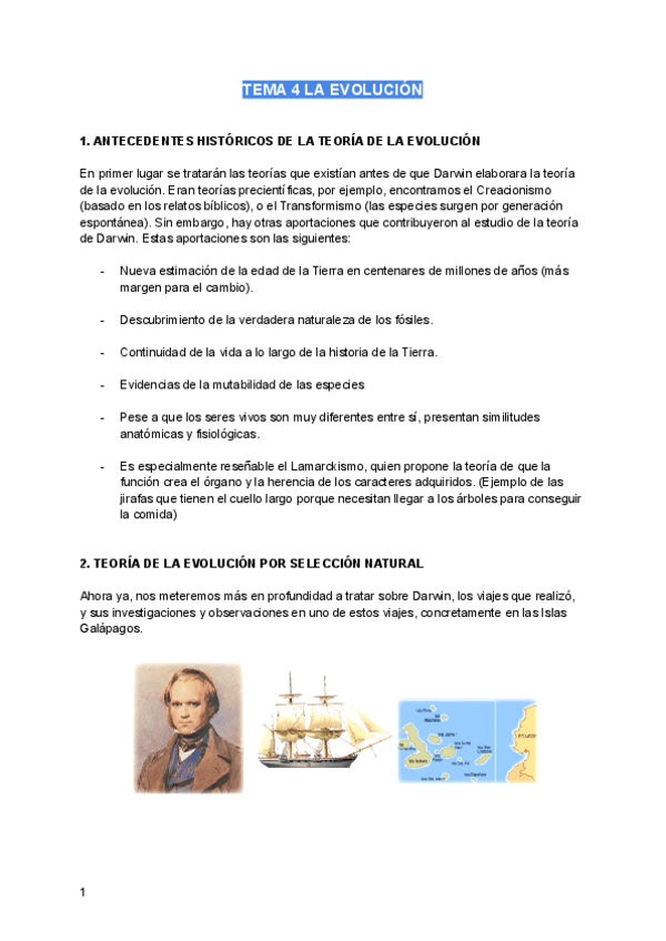 Miniatura del documento TEMA-4-LA-EVOLUCION.pdf