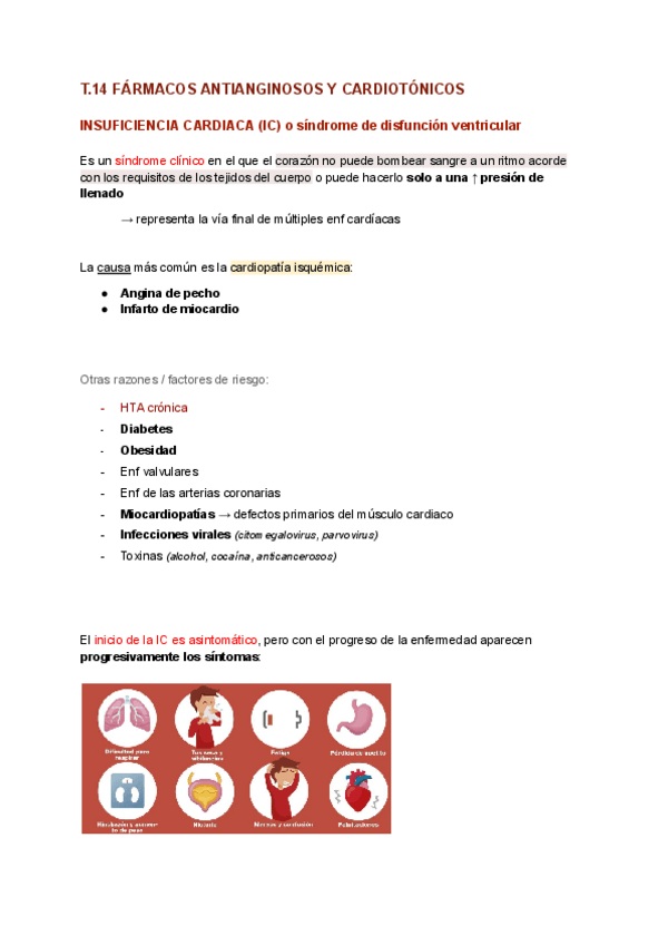 Miniatura del documento T.14-FARMA.pdf