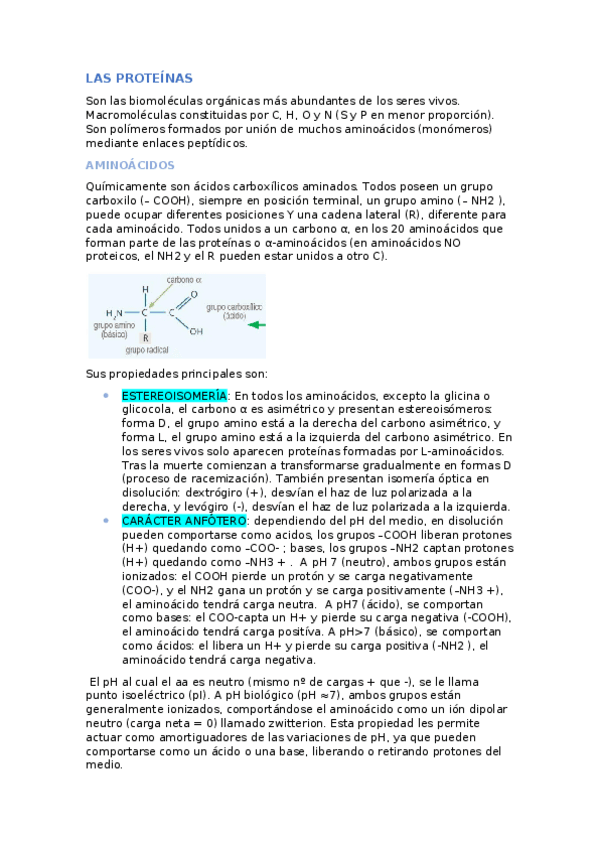 Miniatura del documento LAS-PROTEINAS.docx