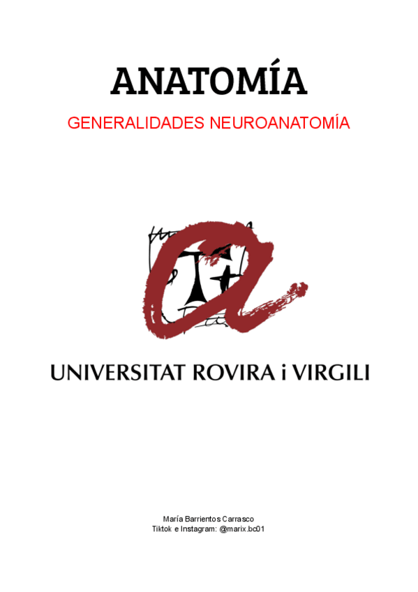 Miniatura del documento Tema6GeneralidadesSN.pdf.pdf