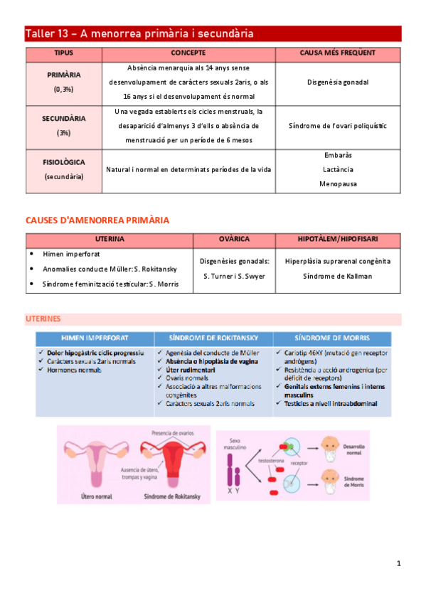 Miniatura del documento Taller-13-Amenorrea.pdf