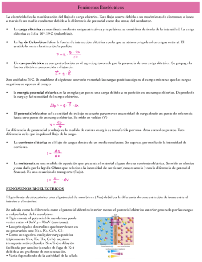 Miniatura del documento Tema-8-FENOMENOS-BIOELECTRICOS.pdf