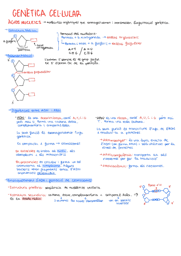 Miniatura del documento Genetica-Cellular-Selectivitat-2025.pdf