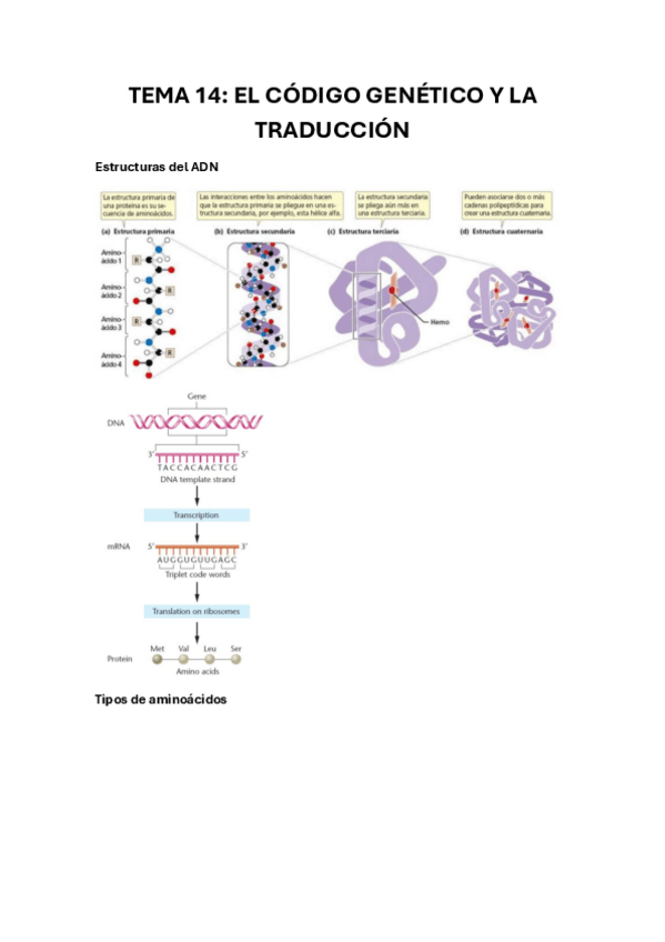 Miniatura del documento Tema-14.pdf