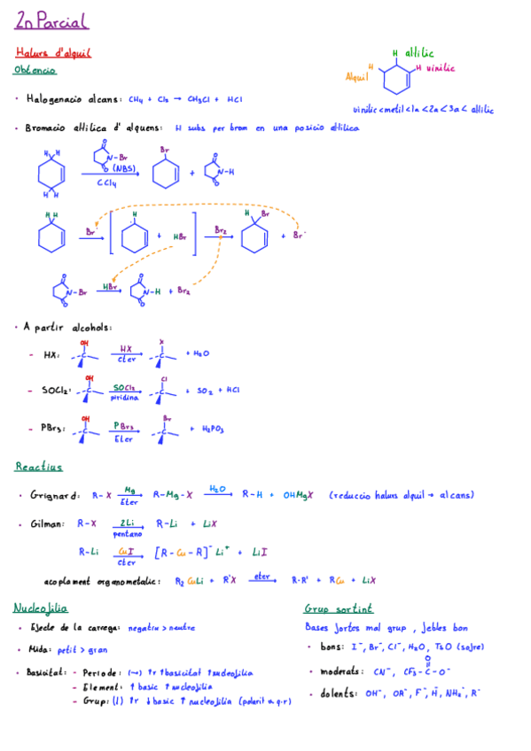 Miniatura del documento Resum-2n-Parcial.pdf