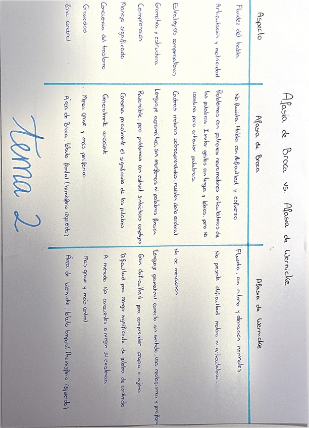 Miniatura del documento TABLA-AREA-DE-BROCA-VS-AREA-DE-WERNICKE-TEMA-2-P.-LENGUAJE.pdf