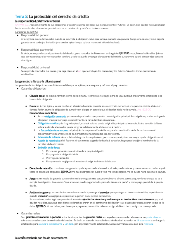 Miniatura del documento T5-La-protecccion-del-derecho-de-credito.pdf
