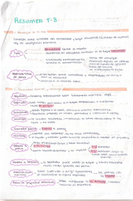 Miniatura del documento Resumen-esquematizado-Tema-III-evaluacion-de-las-condiciones-legales-que-afectan-al-buque.pdf