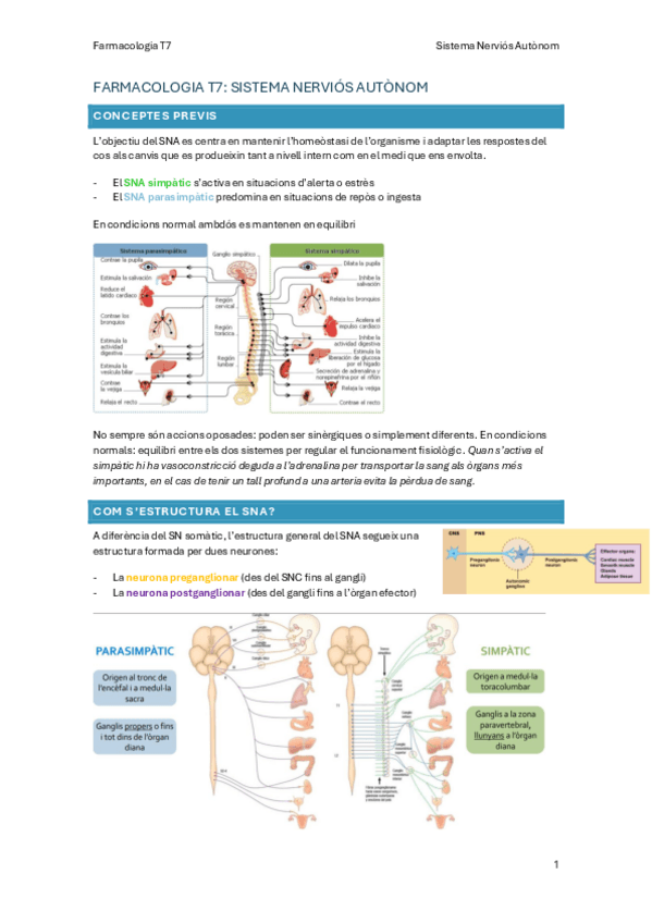 Miniatura del documento FARMACO-T7.-SNApdf.pdf