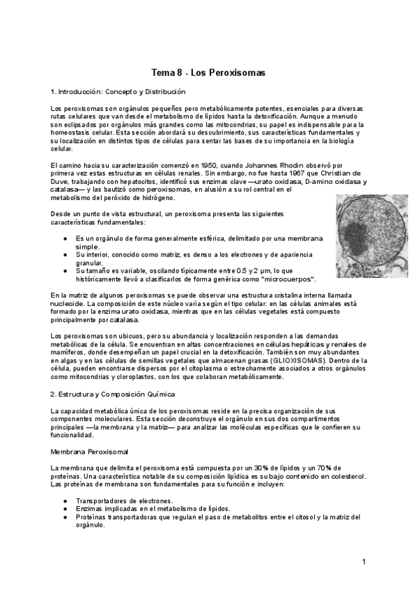 Miniatura del documento Tema-8-biologia-celular.pdf