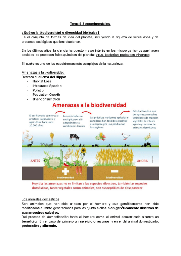 Miniatura del documento 5.3-EXPERIMENTALES.pdf