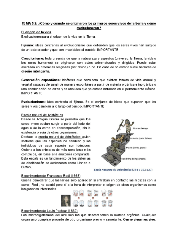 Miniatura del documento 52-experimentales.pdf