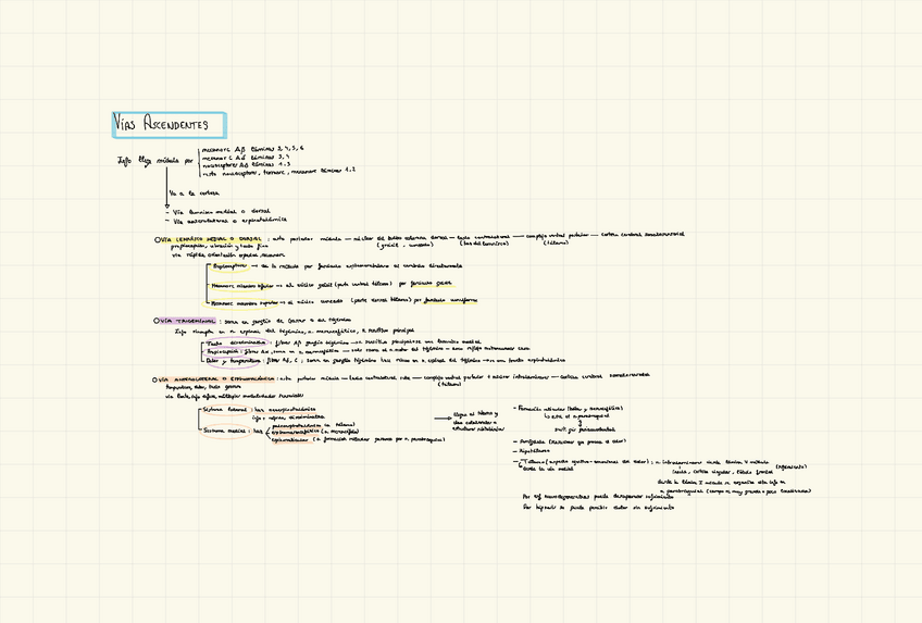 Miniatura del documento Resumen-vias-ascendentes.pdf
