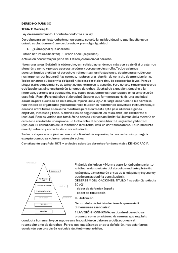 Miniatura del documento Introduccion-al-derecho-publico.pdf
