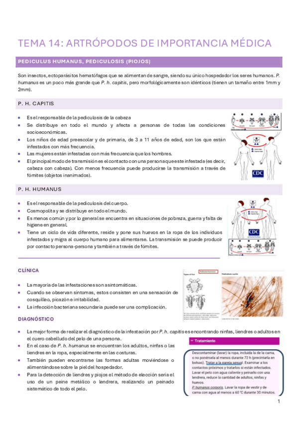 Miniatura del documento temas-14-15-microbiologia-medica.pdf