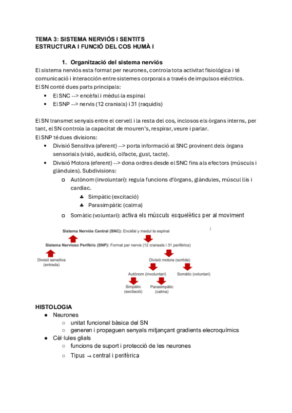 Miniatura del documento SN-i-sentits.pdf
