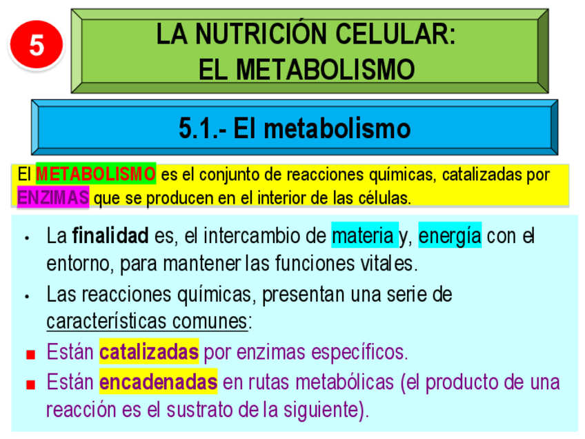Miniatura del documento TEMA-2-LA-ORGANIZACION-CELULAR.pdf