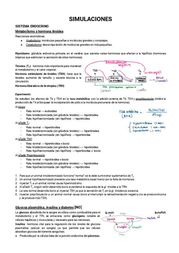 Miniatura del documento Resumen-Simulaciones.pdf