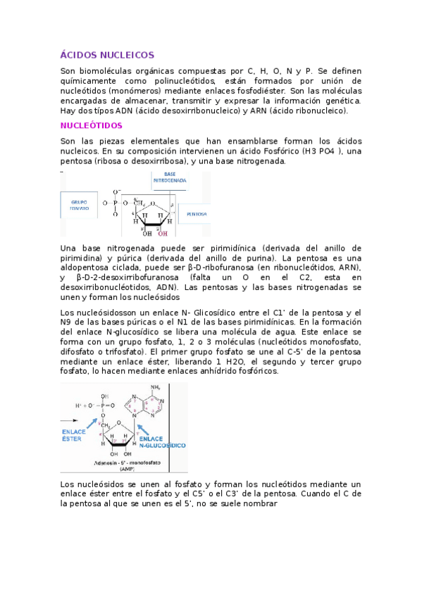 Miniatura del documento ACIDOS-NUCLEICOS.docx