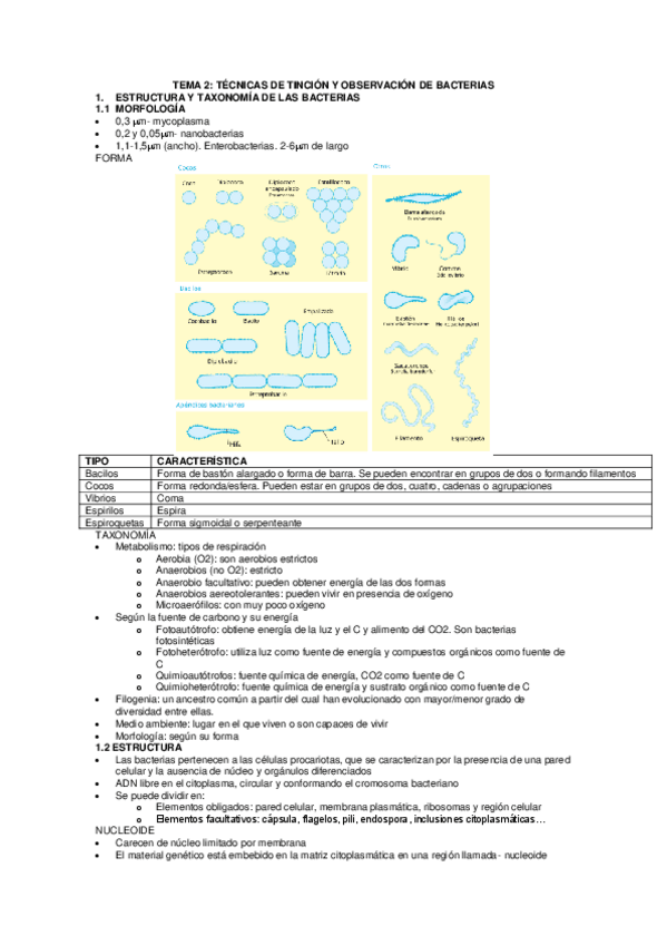 Miniatura del documento TEMA-2-TECNICAS-DE-TINCION-Y-OBSERVACION-DE-BACTERIAS.pdf