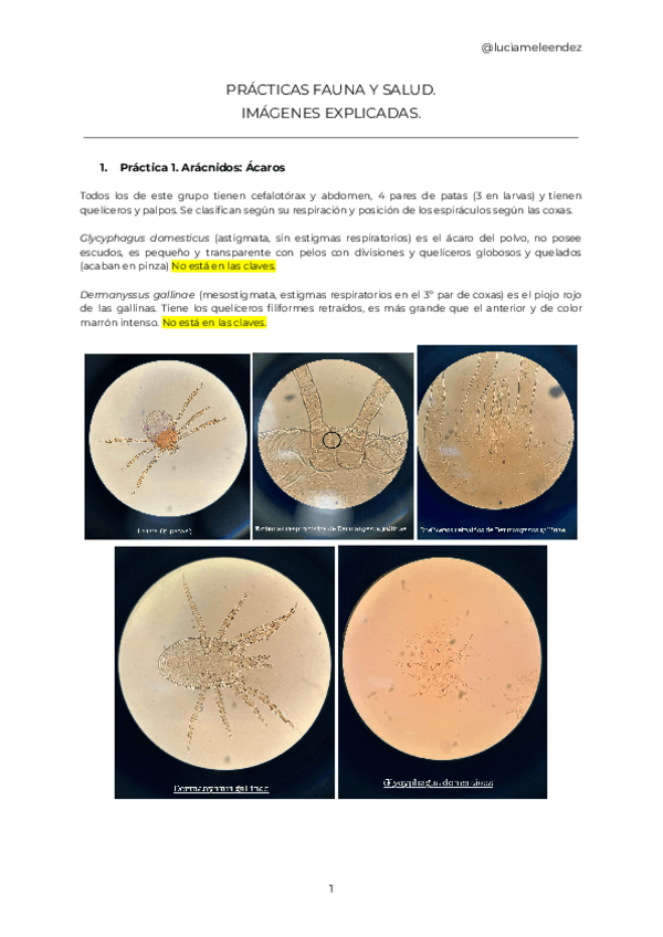 Miniatura del documento Imagenes-practicas-explicadas.pdf