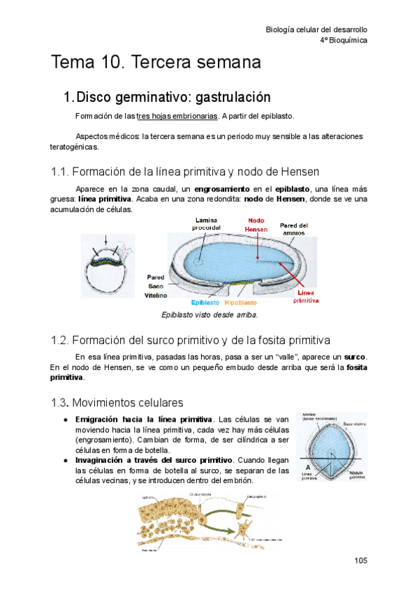 Miniatura del documento T10-Desarrollo.pdf