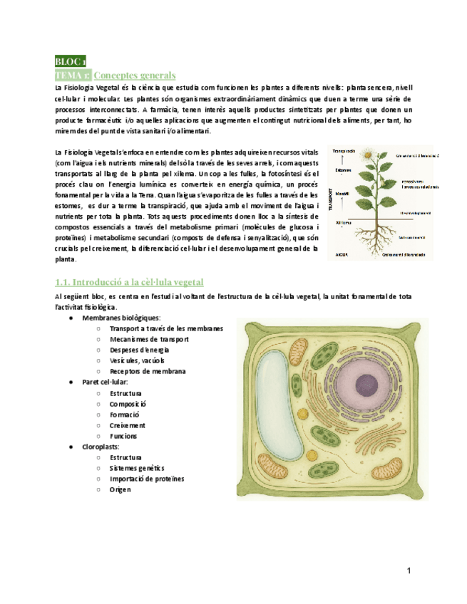 Miniatura del documento BLOC-I-Fisiologia-Vegetalcurs25-26.pdf
