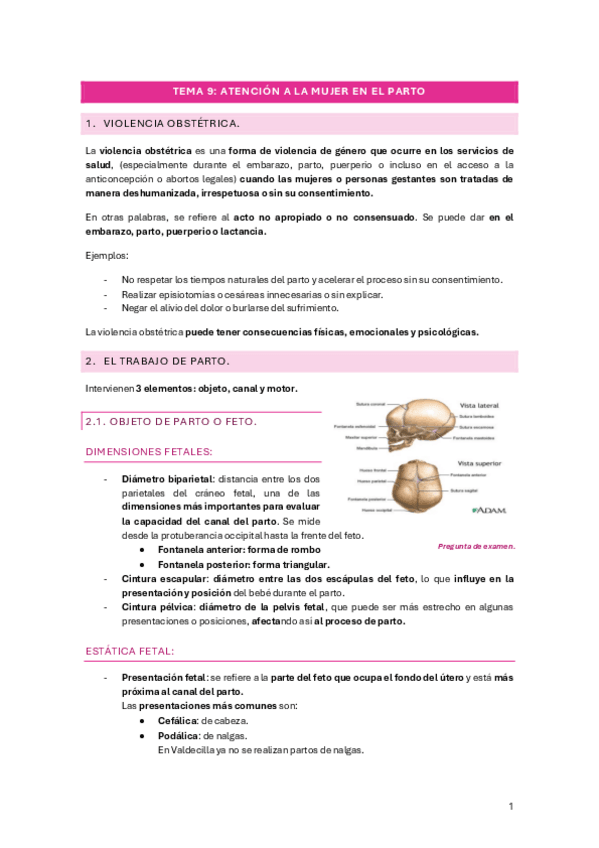 Miniatura del documento TEMA-9-ATENCION-A-LA-MUJER-EN-EL-PARTO.pdf