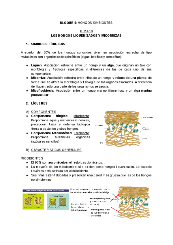 Miniatura del documento T10-BOTANICA-I.pdf