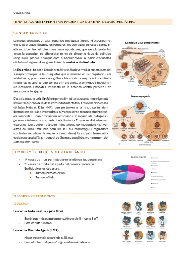 Miniatura del documento UT3-T12.-PACIENT-PEDIATRIC-ONCOLOGIC.pdf