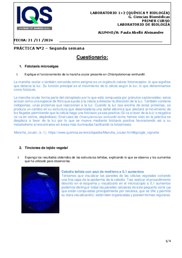 Miniatura del documento Cuestionario-P2-Paula-Abellopdf.pdf