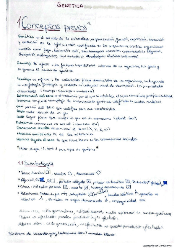 Miniatura del documento Ayuda.pdf