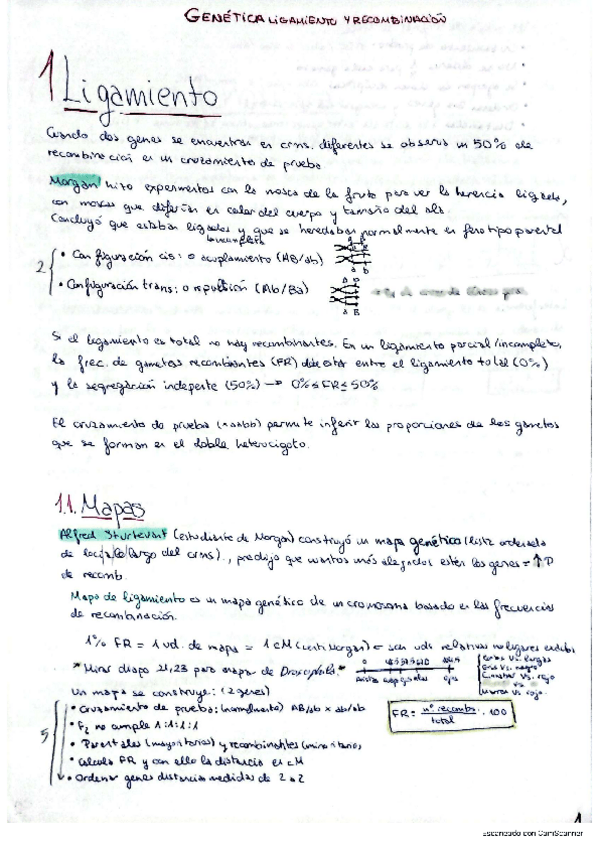 Miniatura del documento Ligamiento-y-recombinacion.pdf