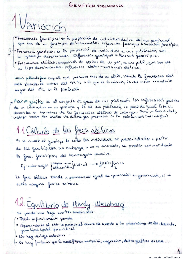 Miniatura del documento Poblaciones.pdf