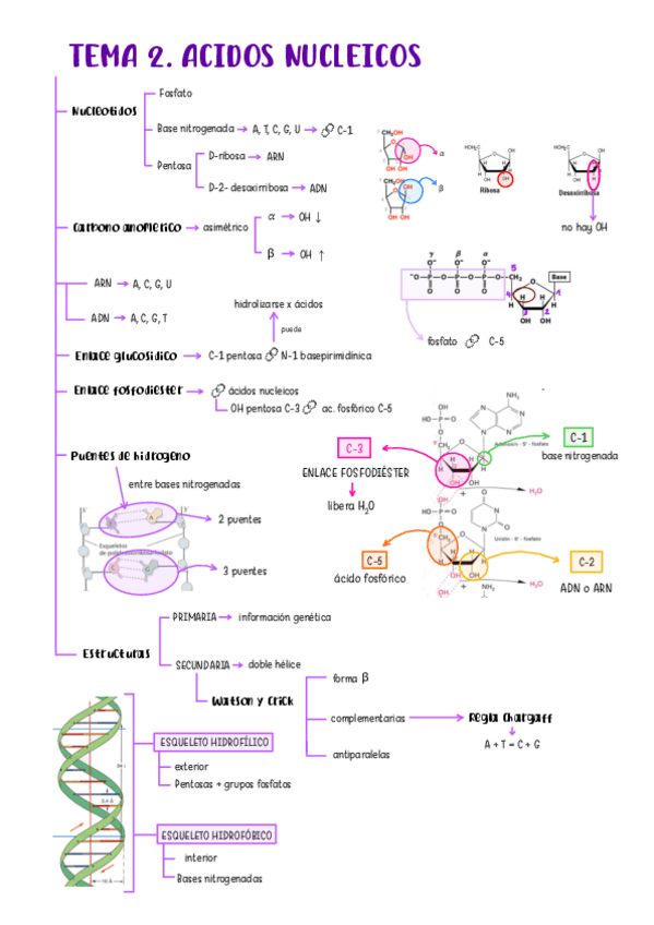 Miniatura del documento tema-2-bq-2526.pdf