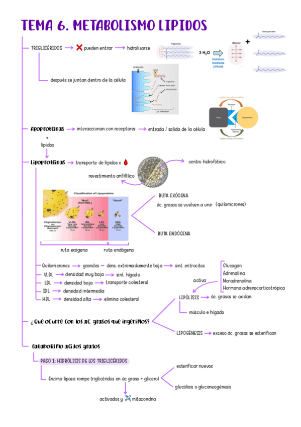 Miniatura del documento tema-6-bq-2526.pdf