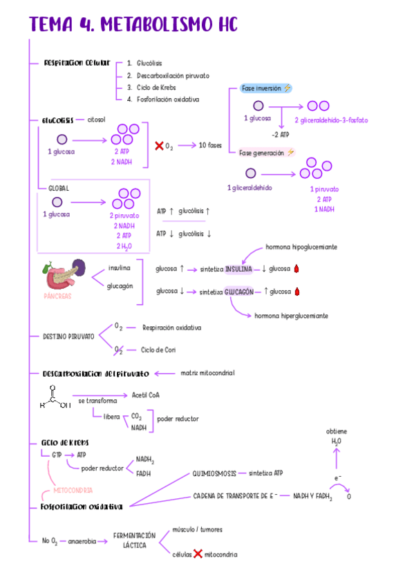 Miniatura del documento tema-4-bq-2526.pdf