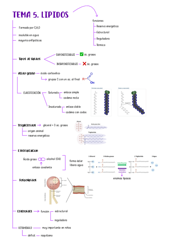 Miniatura del documento tema-5-bq-2526.pdf