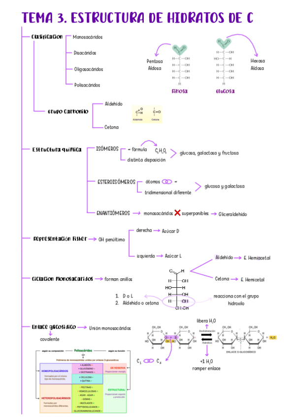 Miniatura del documento tema-3-bq-2526.pdf