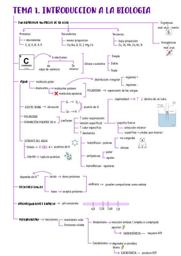 Miniatura del documento tema-1-bq-2526.pdf