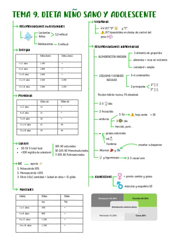 Miniatura del documento tema-9-nutri-2526.pdf