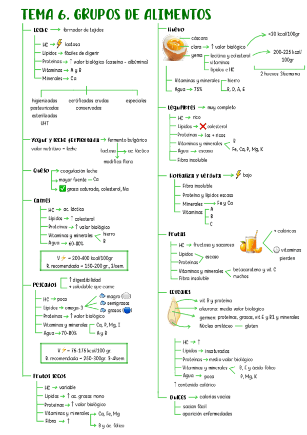 Miniatura del documento tema-6-nutri-2526.pdf