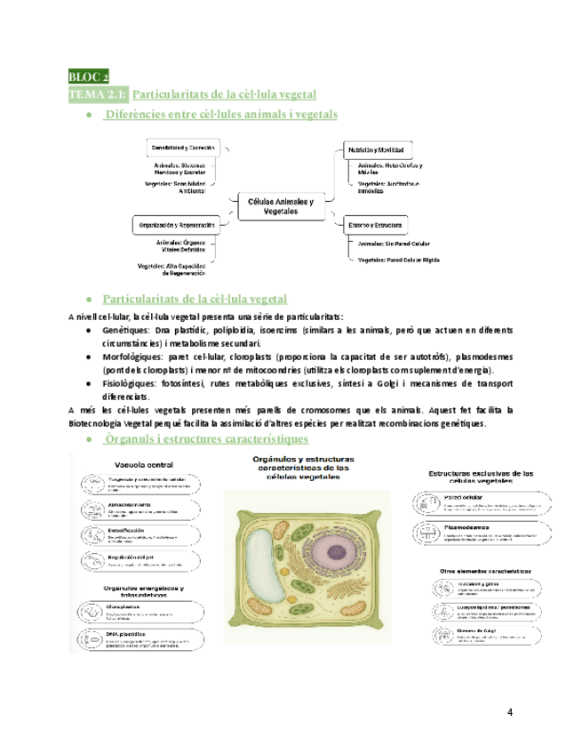 Miniatura del documento BLOC-IIT2.1Particularitats-de-la-cellula-vegetal-i-membranaFisiologia-Vegetalcurs25-26.pdf