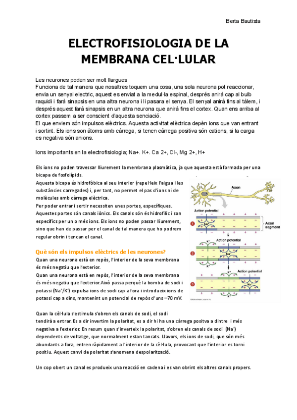 Miniatura del documento 3.-Electrofisiologia-de-la-membrana-cellular.pdf