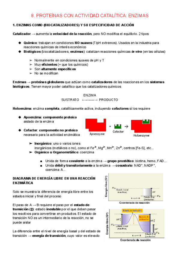 Miniatura del documento 8.-PROTEINAS-CON-ACTIVIDAD-CATALITICA-ENZIMAS.pdf