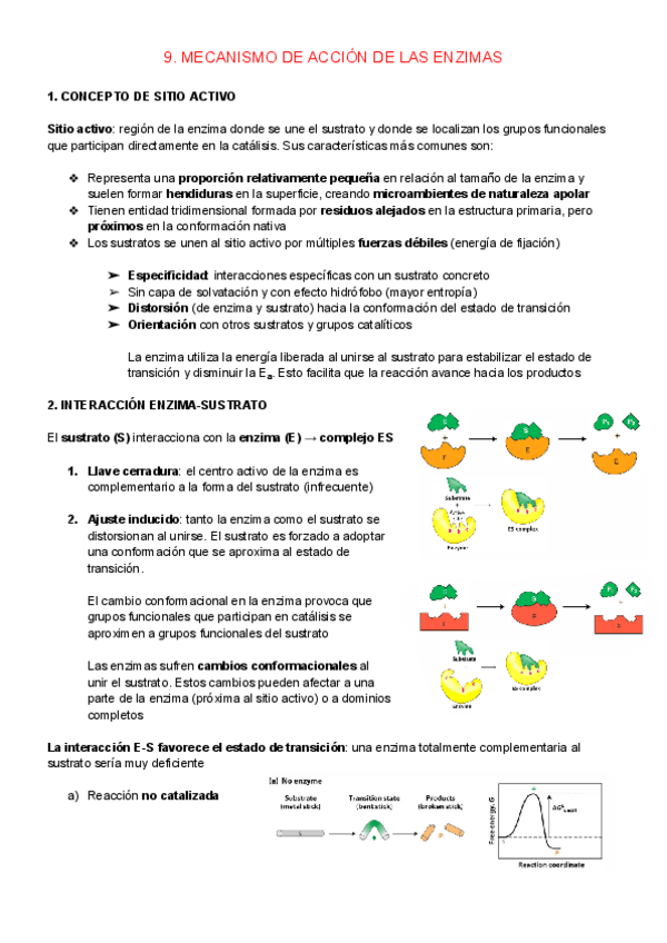 Miniatura del documento 9.-MECANISMO-DE-ACCION-DE-LAS-ENZIMAS.pdf
