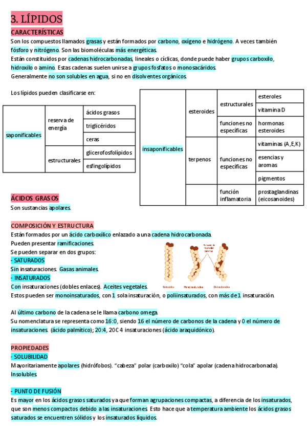 Miniatura del documento 3.-LIPIDOS.pdf