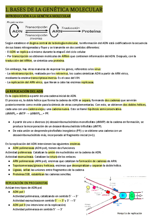 Miniatura del documento 7.-BASES-DE-LA-GENETICA-MOLECULAR.pdf